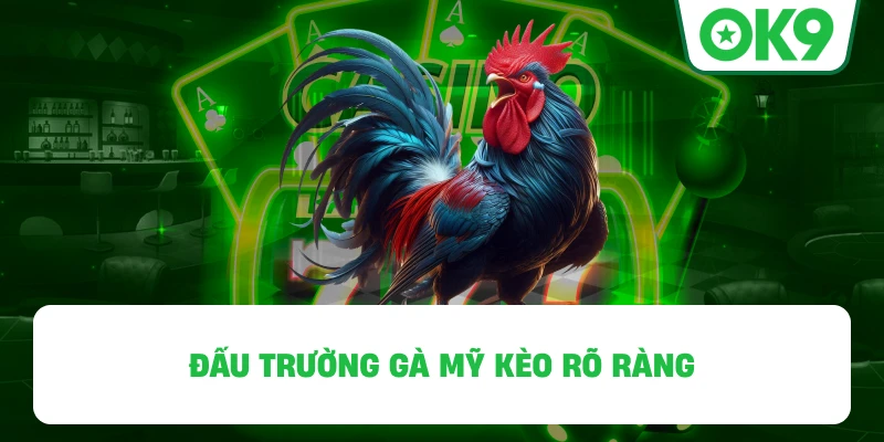 Đấu Trường Gà Mỹ OK9 kèo rõ ràng