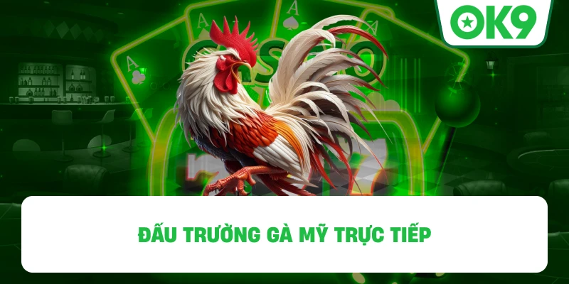 Đấu Trường Gà Mỹ OK9 trực tiếp